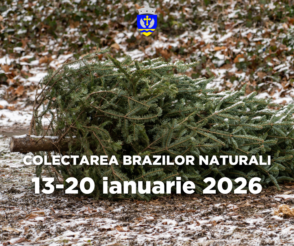 Campanie de colectare a brazilor naturali